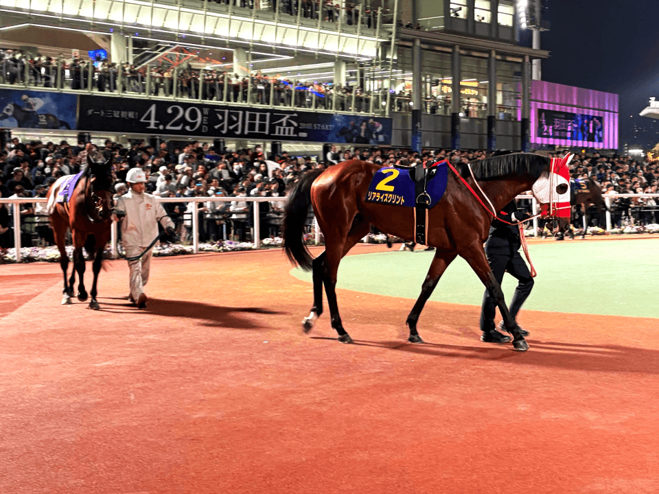 horse gallery
