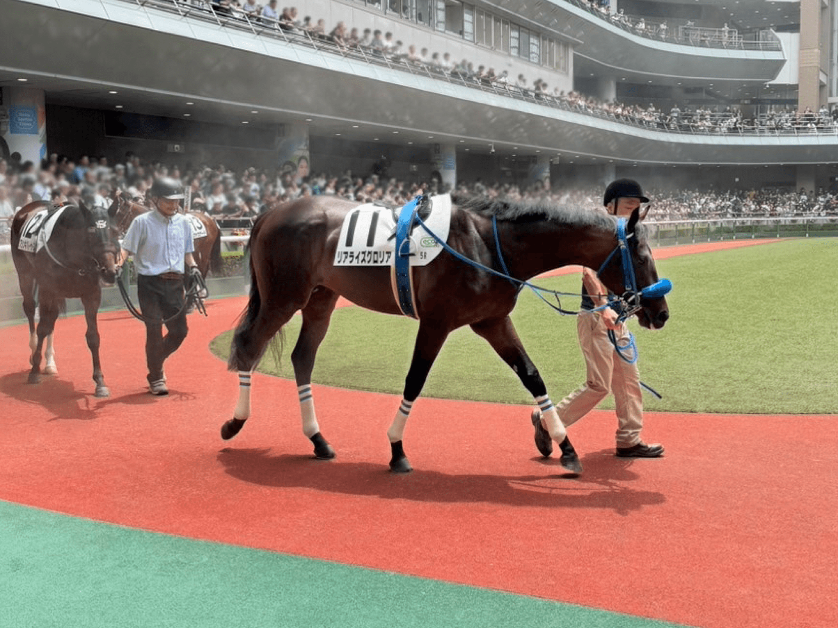 horse gallery