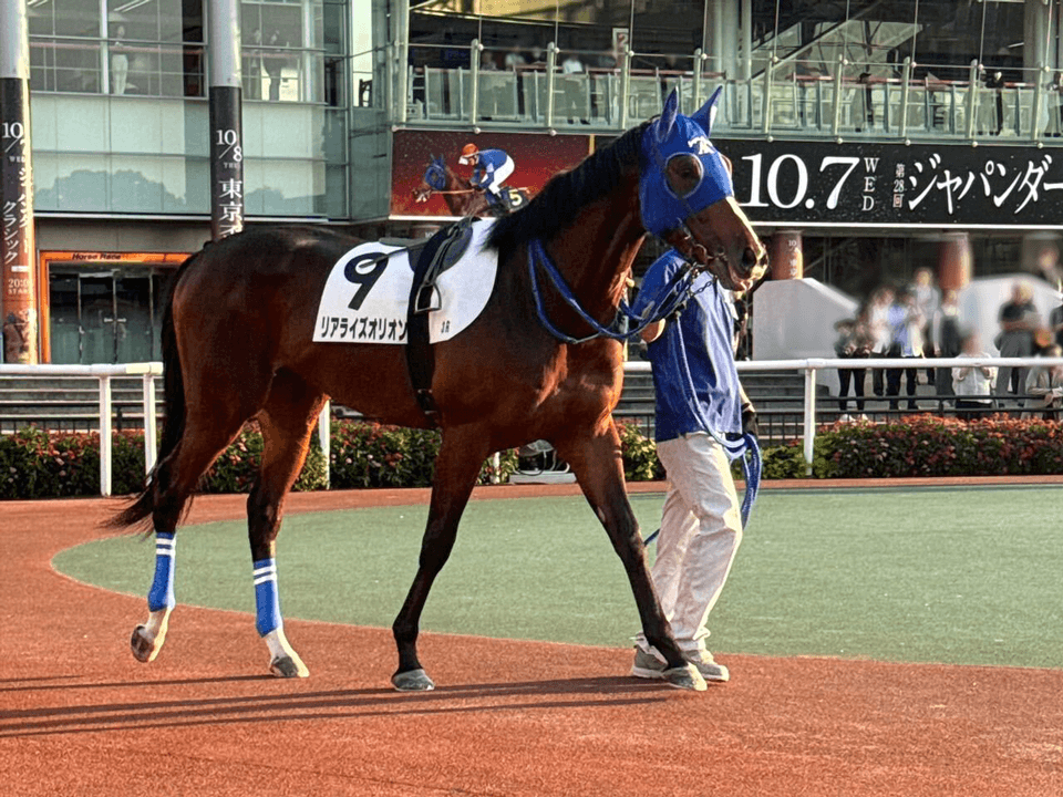 horse gallery